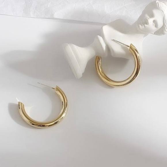 Earrings - Picture 1 of 3